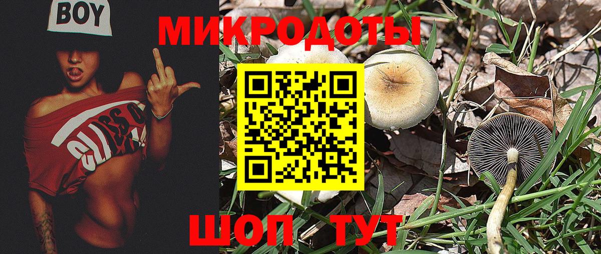 Шали  Галлюциногенные грибы GOLDEN TEACHER  Вход с VPN 
