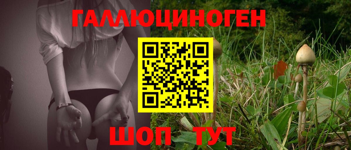 Галлюциногенные грибы Psilocybine cubensis Шали